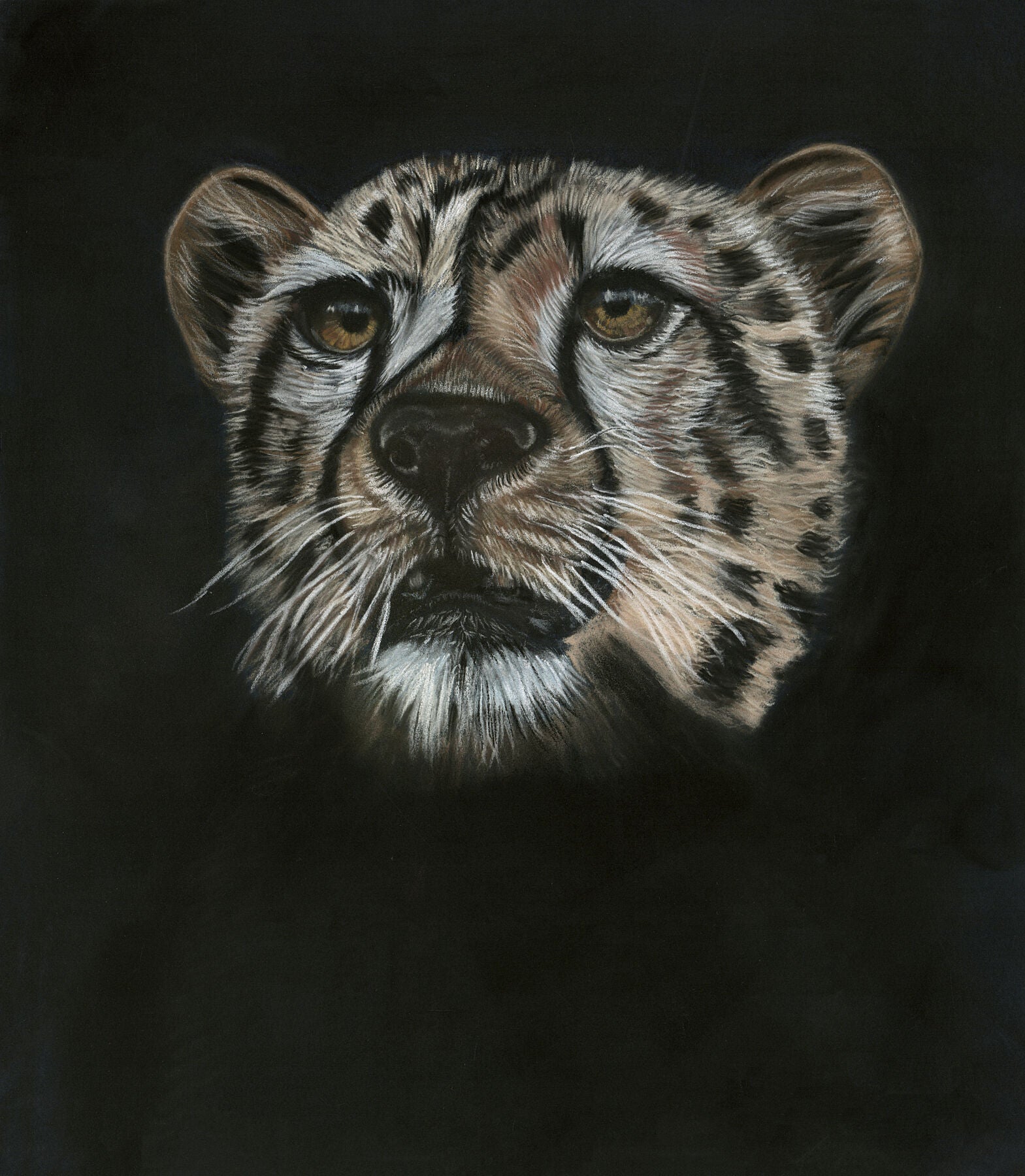 Soft pastel and pencil drawing of a mother cheetah standing alert in a dry grassland, drawn by Juanita Hart.