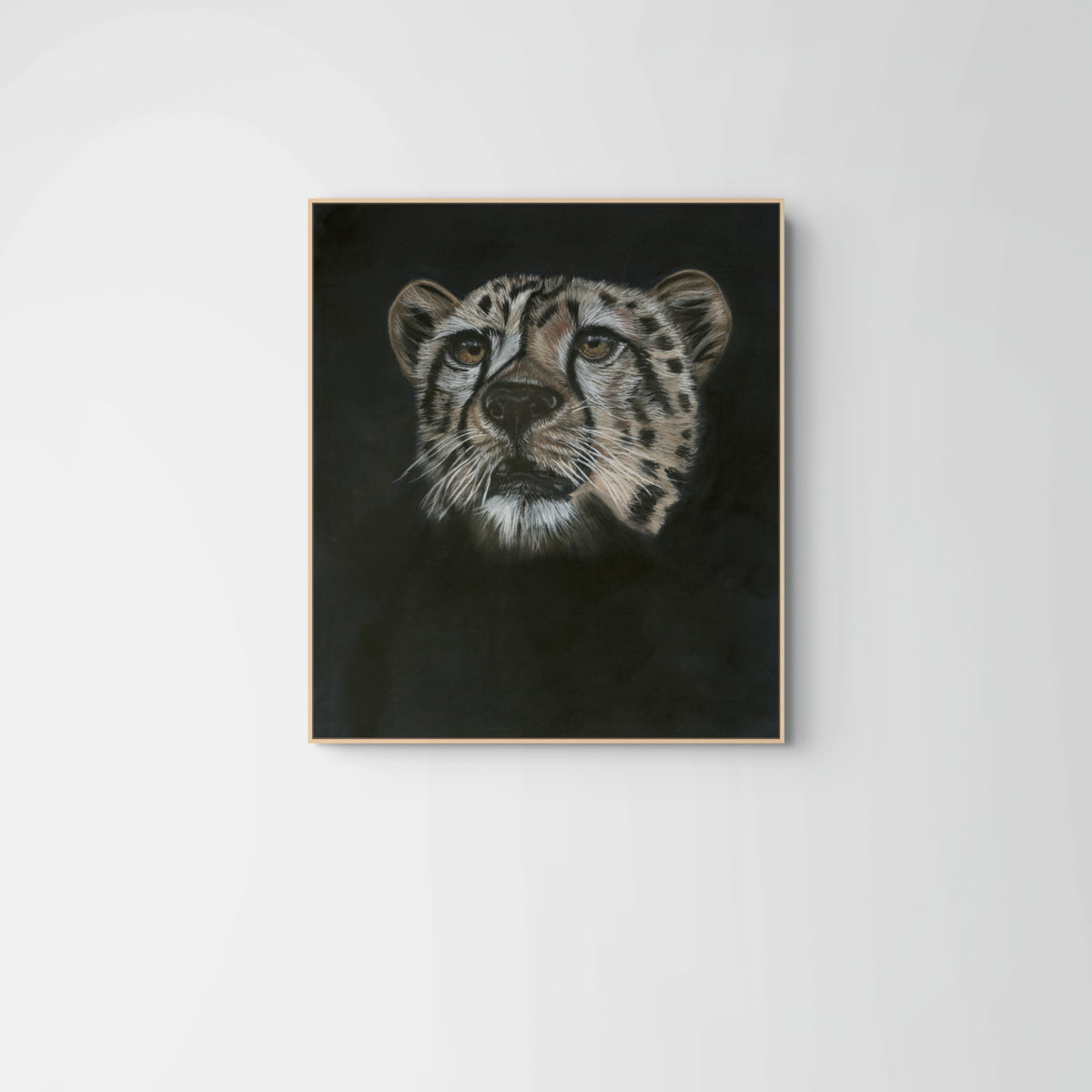 Cheetah