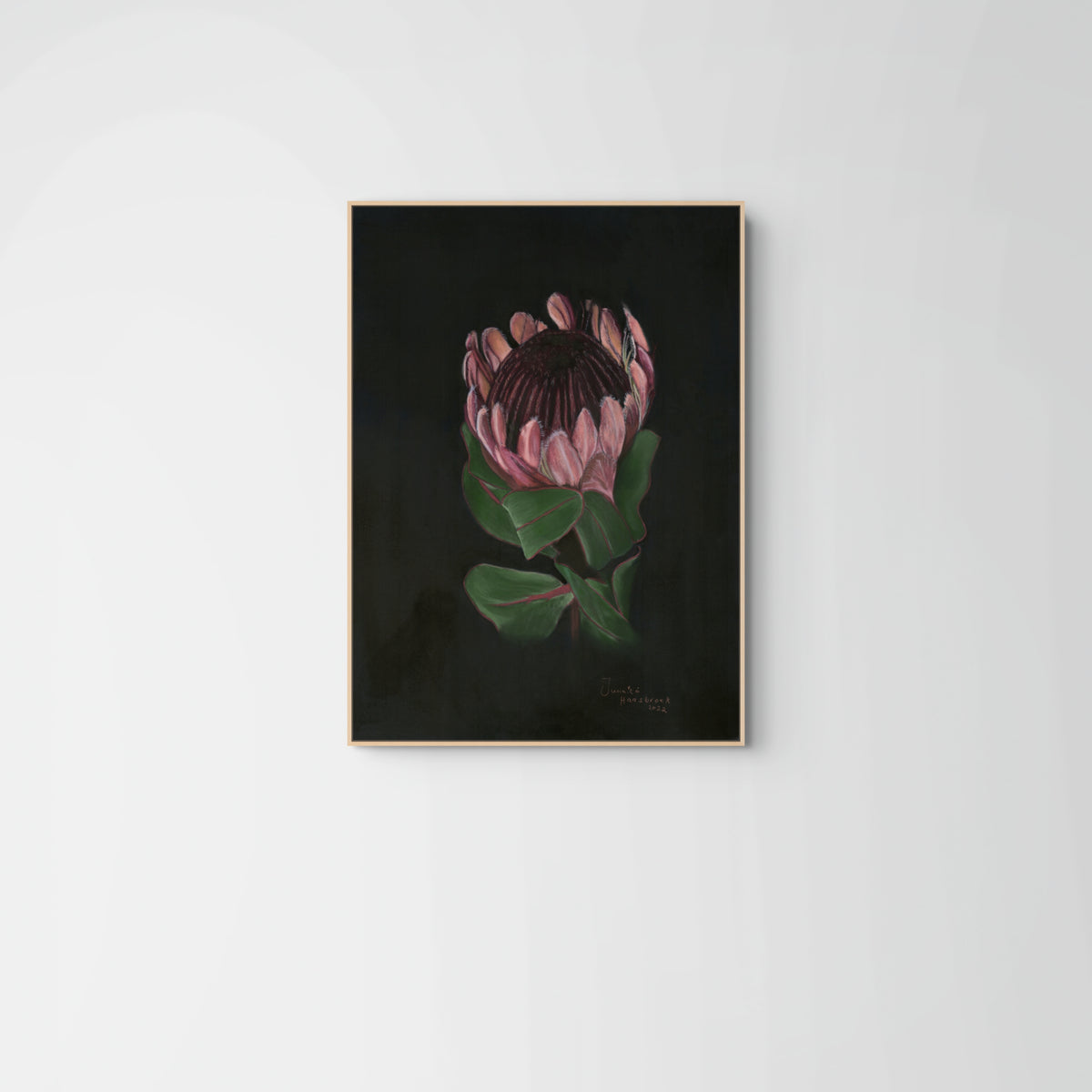 Protea